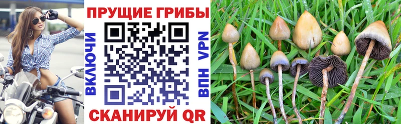 Галлюциногенные грибы ЛСД  Златоуст 