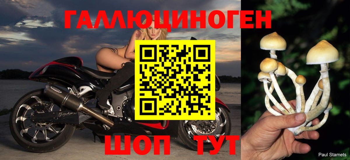 Златоуст  купить наркоту  Вход с VPN  Галлюциногенные грибы MAGIC MUSHROOMS 